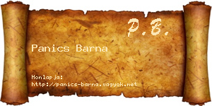 Panics Barna névjegykártya